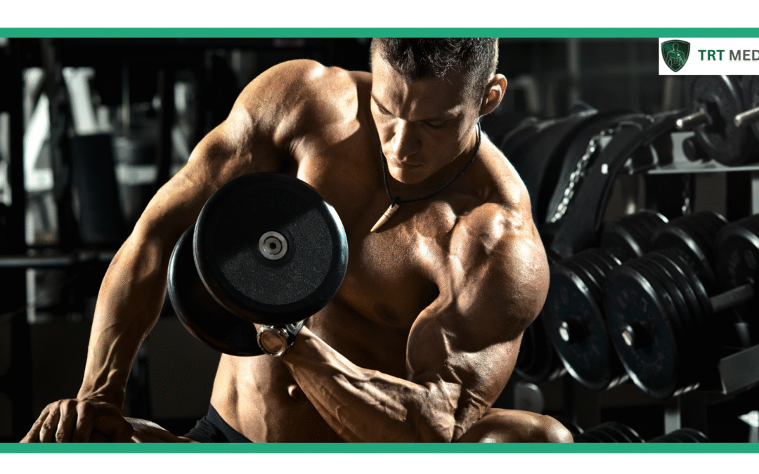 Is Joe Rogan on Testosterone Replacement Therapy?