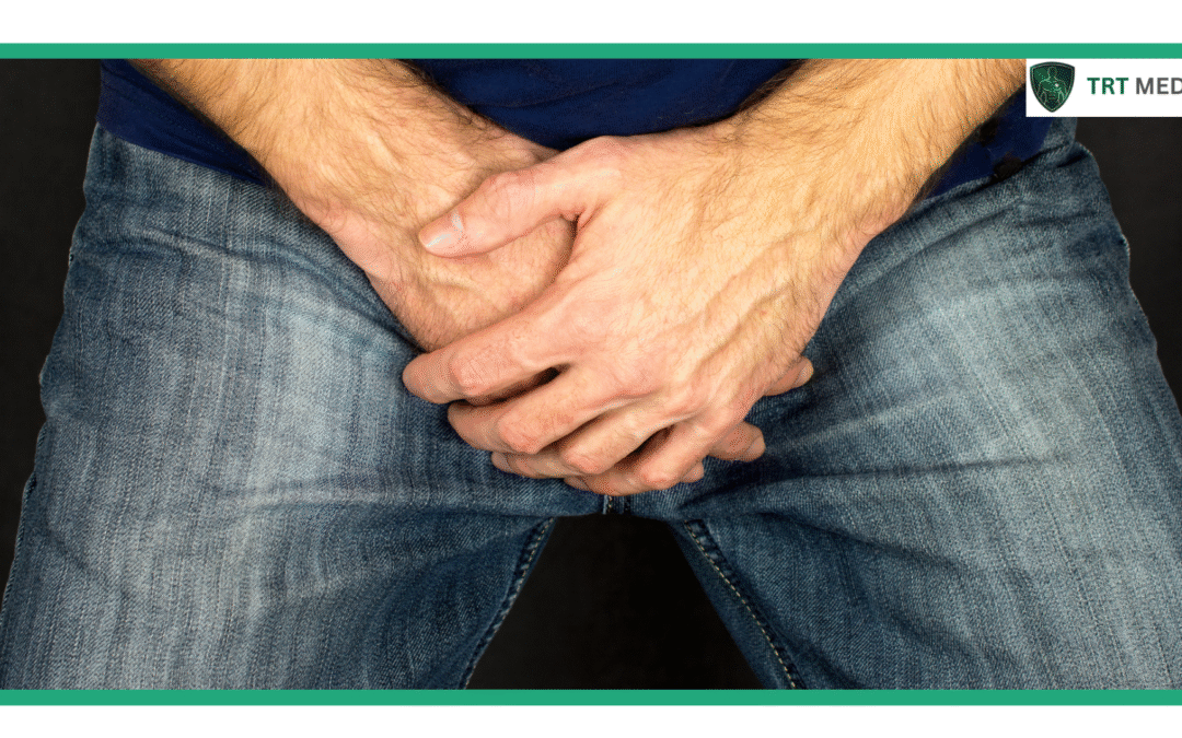 Does Testosterone Increase Size in Adults?