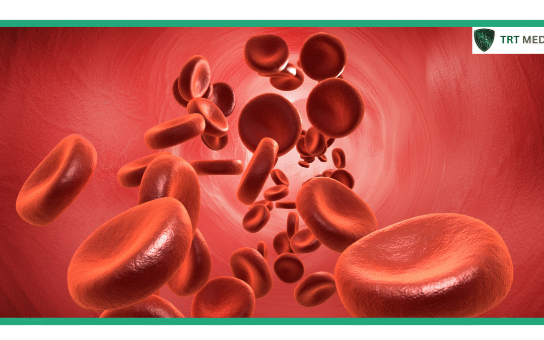 How to Treat Thick Blood From Testosterone Therapy