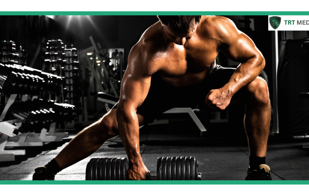 What Vitamins Help Increase Testosterone Levels