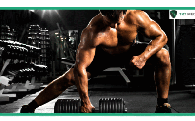 What Vitamins Help Increase Testosterone Levels