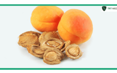 Do Apricot Seeds Increase Testosterone in Men?
