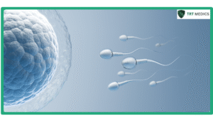 How to Boost Sperm Count While on TRT Therapy