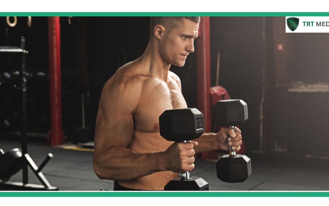 Does Maca Root Increase Testosterone?